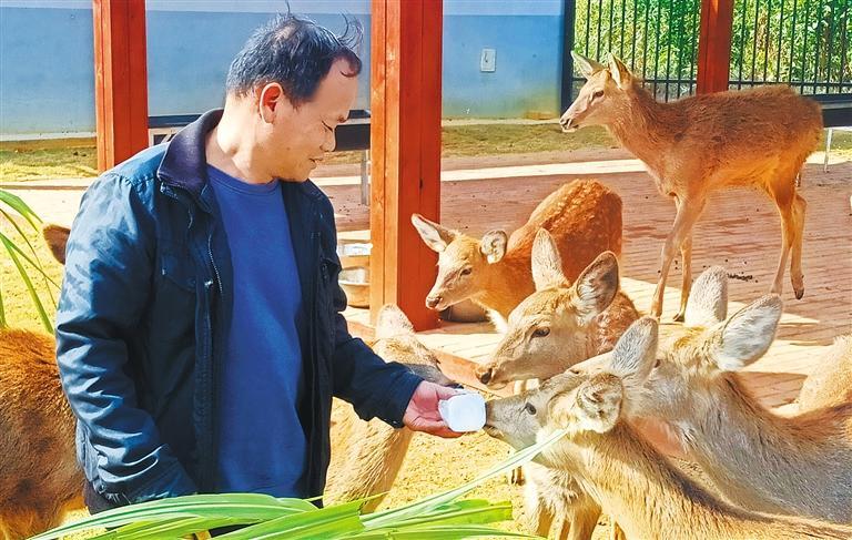 发展产业调研】林下生金mg不朽情缘【高质量(图3)